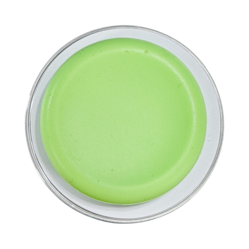 Gadget Pop Grip Magsafe Circular Verde